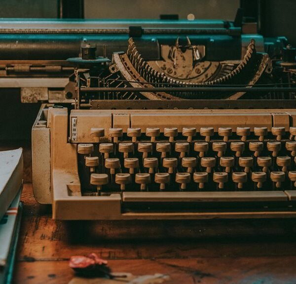 Business Identifier Distribution Record: 648610748, 8556154878, 320373000, 722544106,&hellip;