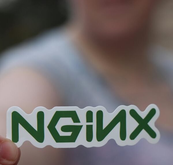 Professional Web System 9727980395 for Efficiency